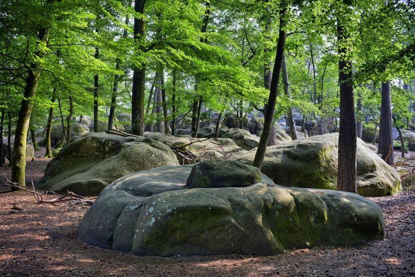Maison De Charme En Foret De Fontainebleau Recloses Bagian luar foto